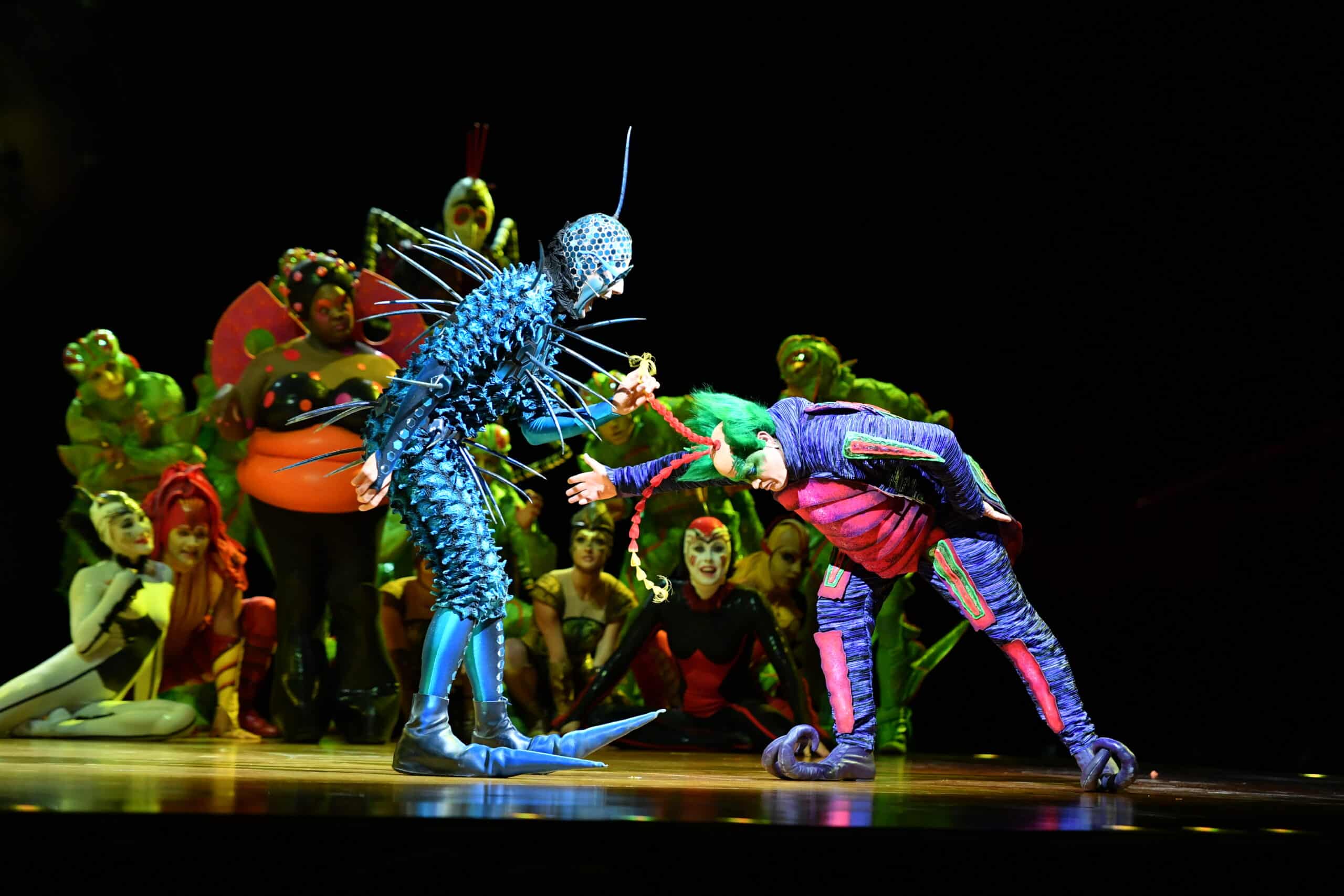 Isla Stewart innovación Bailarín OVO by Cirque du Soleil llega a España en 2023 | Ticketmaster Blog
