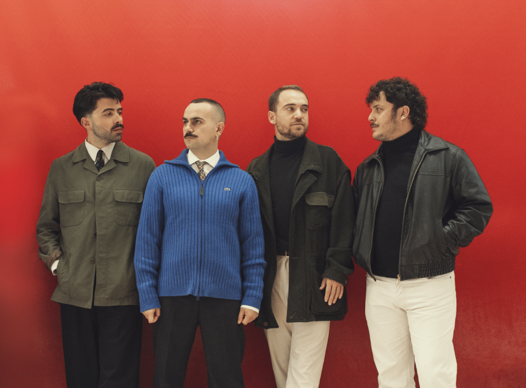 vera fauna conciertos